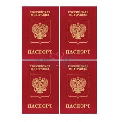 Паспорт №2, вафельный лист А4